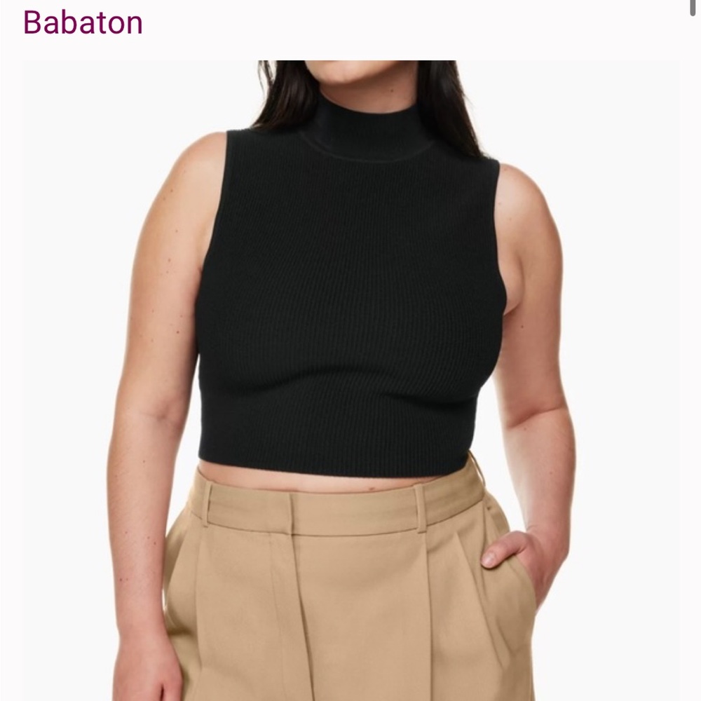 Babaton Anders Top
